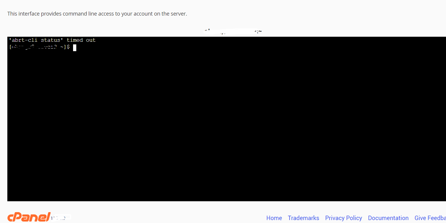Cpanel terminal.png
