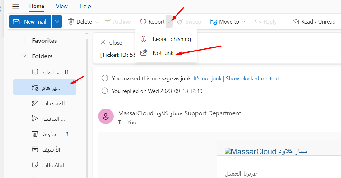 Outlook Not junk1 ar.png