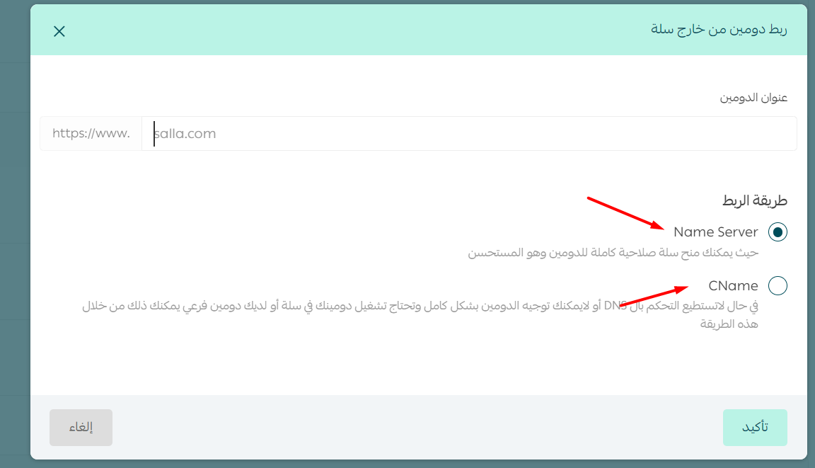 Salla connect new domain choose method.png